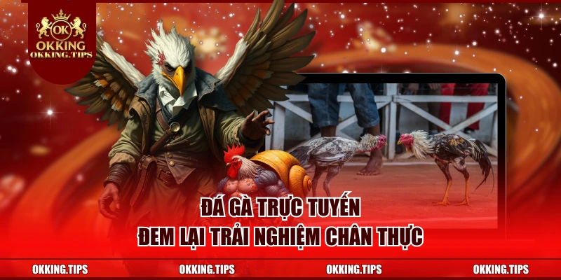 Đá gà trực tuyến đem lại trải nghiệm chân thực
