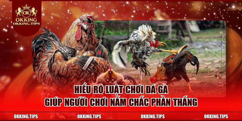 Hiểu rõ luật chơi đá gà giúp người chơi nắm chắc phần thắng