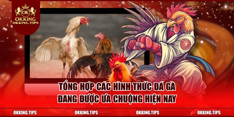 Tổng hợp các hình thức đá gà đang được ưa chuộng hiện nay